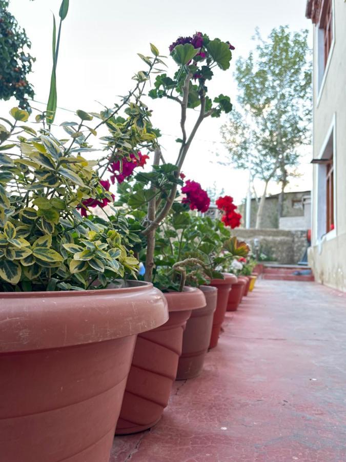 Gaywoo Guest House Лех Экстерьер фото